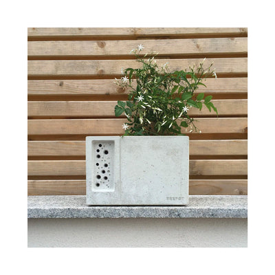 Beepot Concrete Planter and Bee House